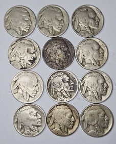 (12) Assorted Buffalo Nickels -