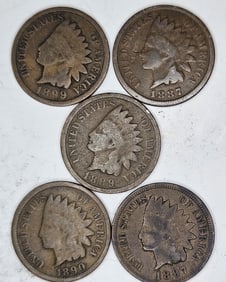 1899-87-89-90-97 Indian Head Cents