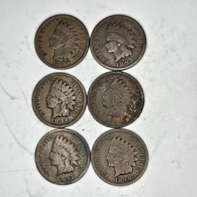 1899-93-96-89-97-90 Indain Head Cents