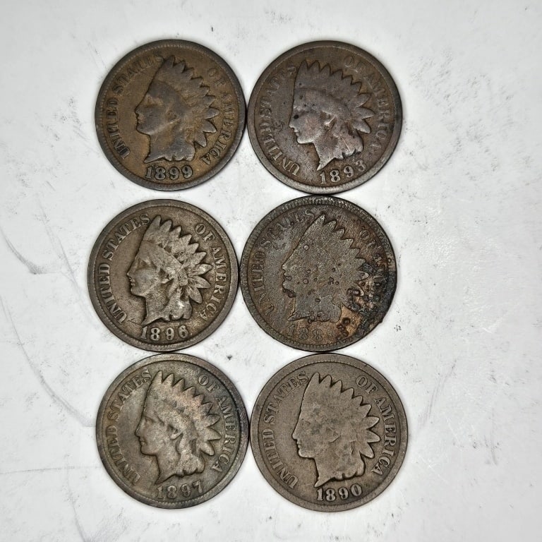 1899-93-96-89-97-90 Indain Head Cents (1 of 2)