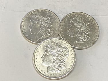 (3) 1900 P BU Grade Morgan Silver Lot