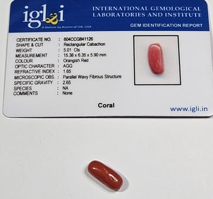 5.01 ct. Natural Red Coral Specimen w/COA
