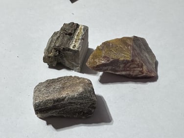 Lot of (3) Natural Petrified Wood Specimens