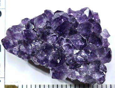 WOW! - 135.22 gram Natural Amethyst Geode Cluster