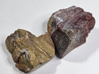 39.31 gram Natural Petrified Wood Parcel