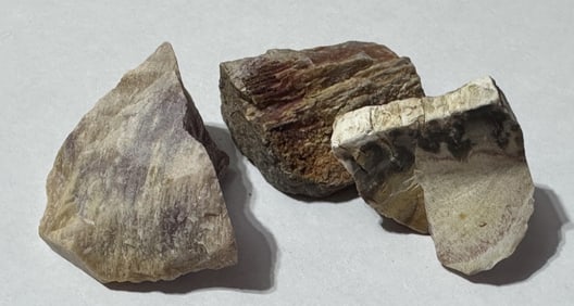 Lot of Natural Petrified Wood Specimens