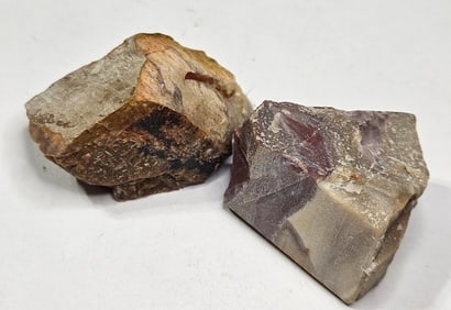 43.49 gram Natural Petrified Wood Lot