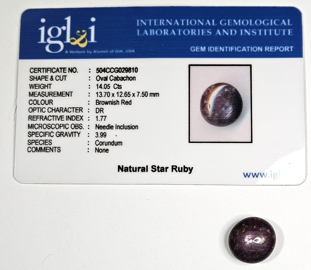 14.05 ct. Natural Star Ruby w/COA Card (1 of 3)