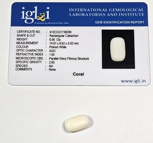 6.90 ct. Natural White Coral Specimen w/COA Card
