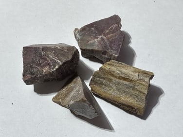 Lot of (4) Natural Petrified Wood Specimens