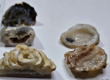 (5) Oco Brazilian Geode Lot