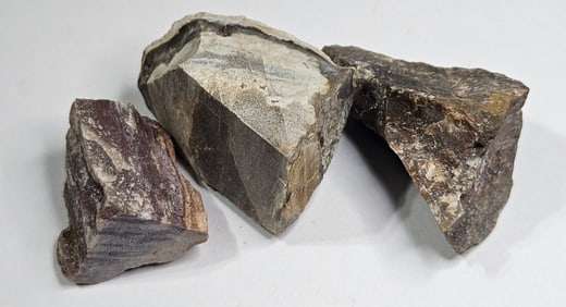 52.63 gram Natural Petrified Wood Lot