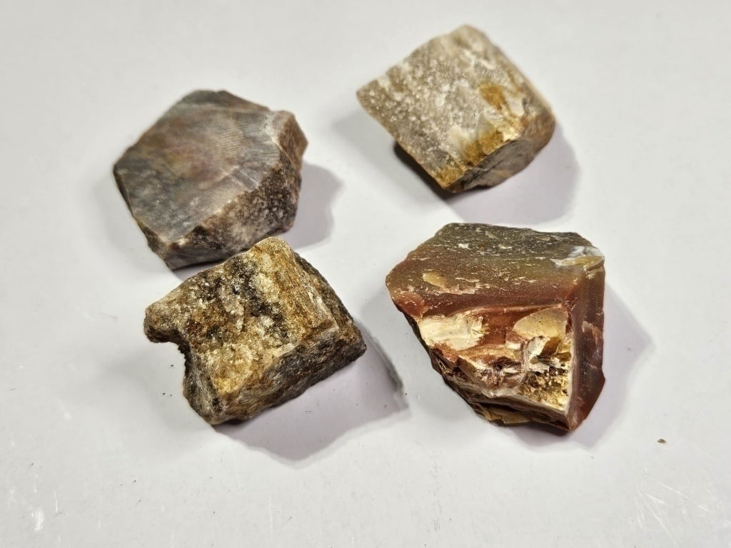 87.41 gram Petrified Wood Specimen Parcel: Item is the exact item in the image- Bidder is responsible for all value and grade determination -