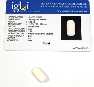 6.68 ct. Natural White Coral Speciman w/COA Card
