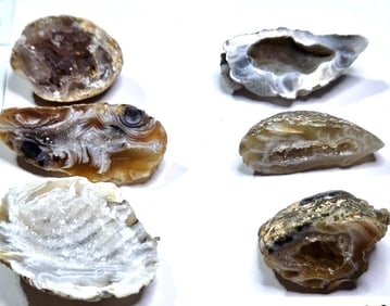 Lot of 6 Oco Brazilian Geodes