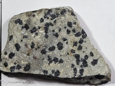 11.45 gram Dalmatian Jasper Specimen