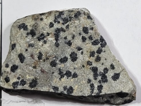 11.45 gram Dalmatian Jasper Specimen: Item is the exact item in the image - Bidder is responsible for all value and grade determination - Please review all terms prior to placing any bids - All bidsareanagreementtoallterms-Noexceptions -