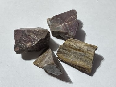 Lot of (4) Natural Petrified Wood Specimens