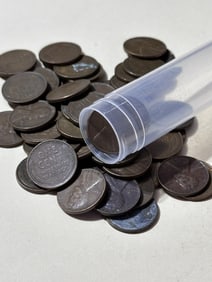 Lincoln Wheat Cents in Tube-50pcs