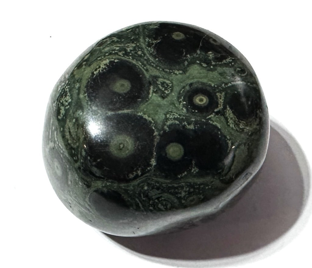 Large Kambaba Palm Stone - 150 grams (1 of 4)