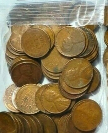 Bag of 100 pcs. Random Date Wheat Cents (1 of 1)