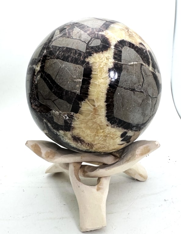 Fabulous Septarian Sphere on Driftwood Stand: Item is the exact item in the image - Bidder is responsible for all value and grade determination - Please review all terms and conditions prior to placing any bids-