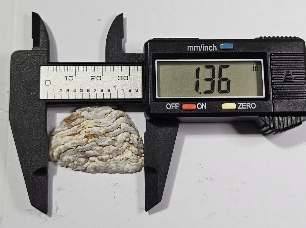 8.36 gram Natural Mini Oco Geode - 3