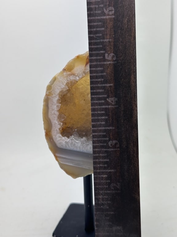 Exceptional Geode on Stand Specimen - 2