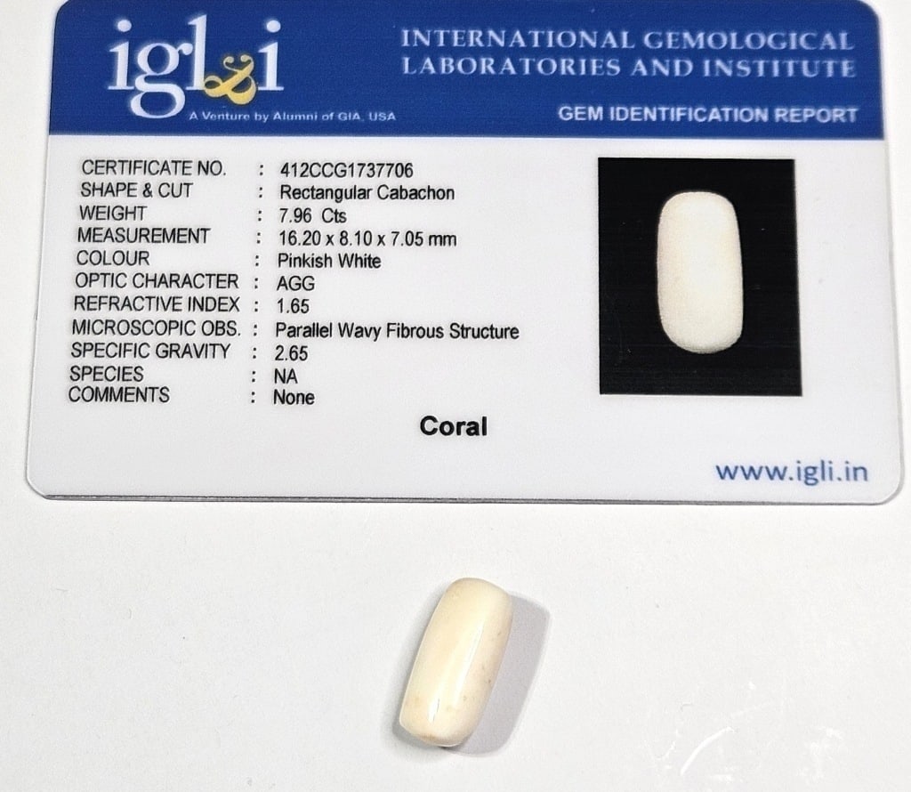 7.96 ct. Natural White Coral Specimen w/COA Card: Items are the exact items in the image - Please review the entire terms and conditions prior to placing any bids- Bidder is responsible for all value and grade determination-
