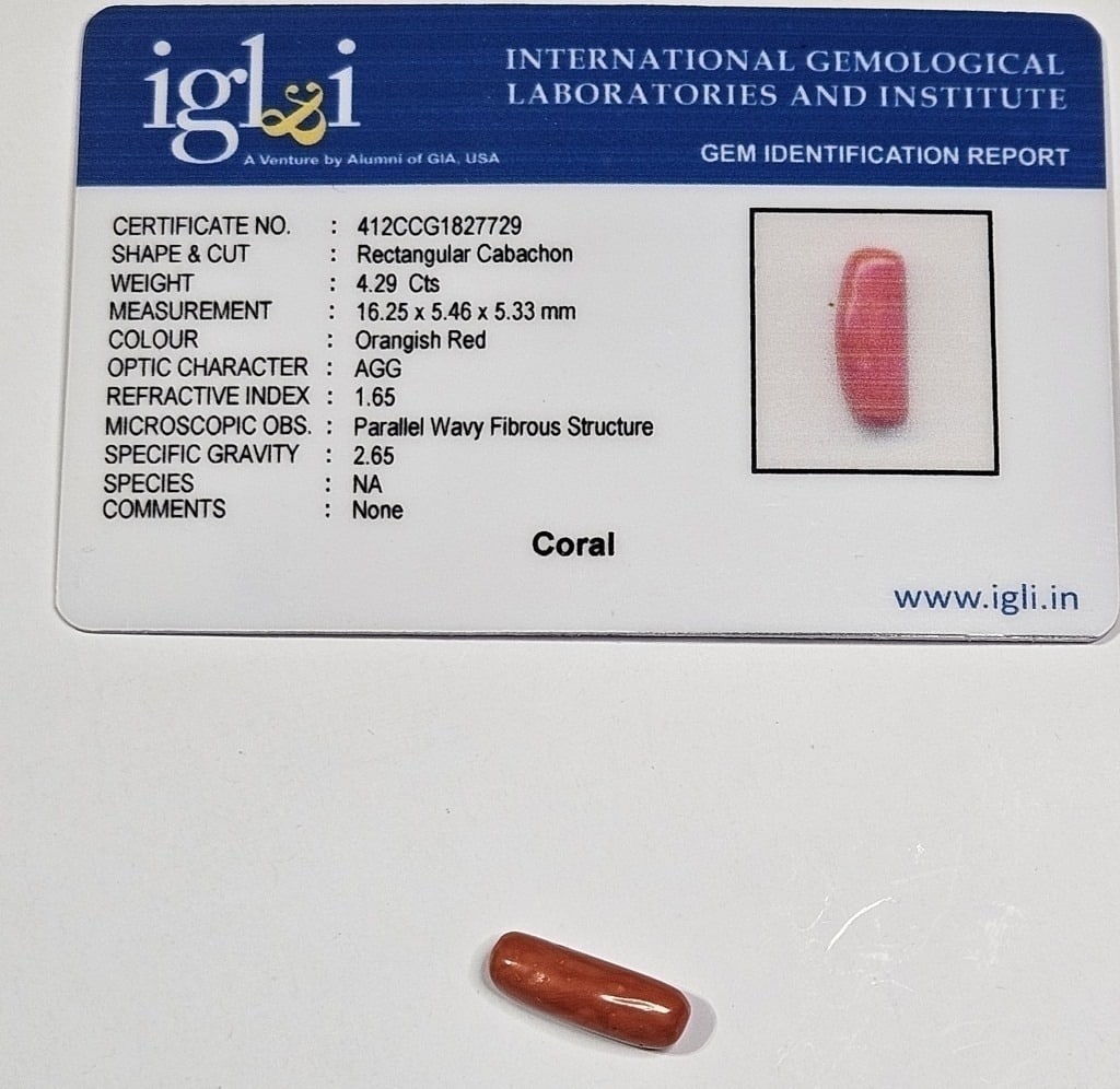 4.29 ct. Natural Red Coral Specimen w/COA Card: Items are the exact items in the image - Please review the entire terms and conditions prior to placing any bids- Bidder is responsible for all value and grade determination-