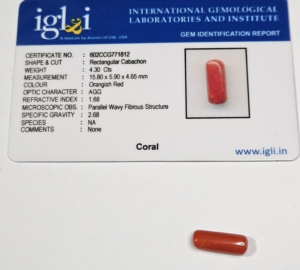 4.30 ct. Natural Red Coral Specimen w/COA Card: Items are the exact items in the image - Please review the entire terms and conditions prior to placing any bids- Bidder is responsible for all value and grade determination-