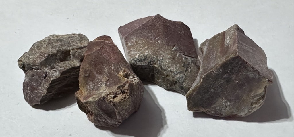 Lot of (4) Natural Petrified Wood Specimens: Items are the exact items in the image - Please review the entire terms and conditions prior to placing any bids - Any bid is an agreement to all terms and conditions -