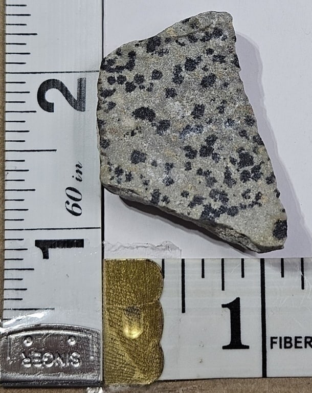 11.45 gram Dalmatian Jasper Specimen - 2