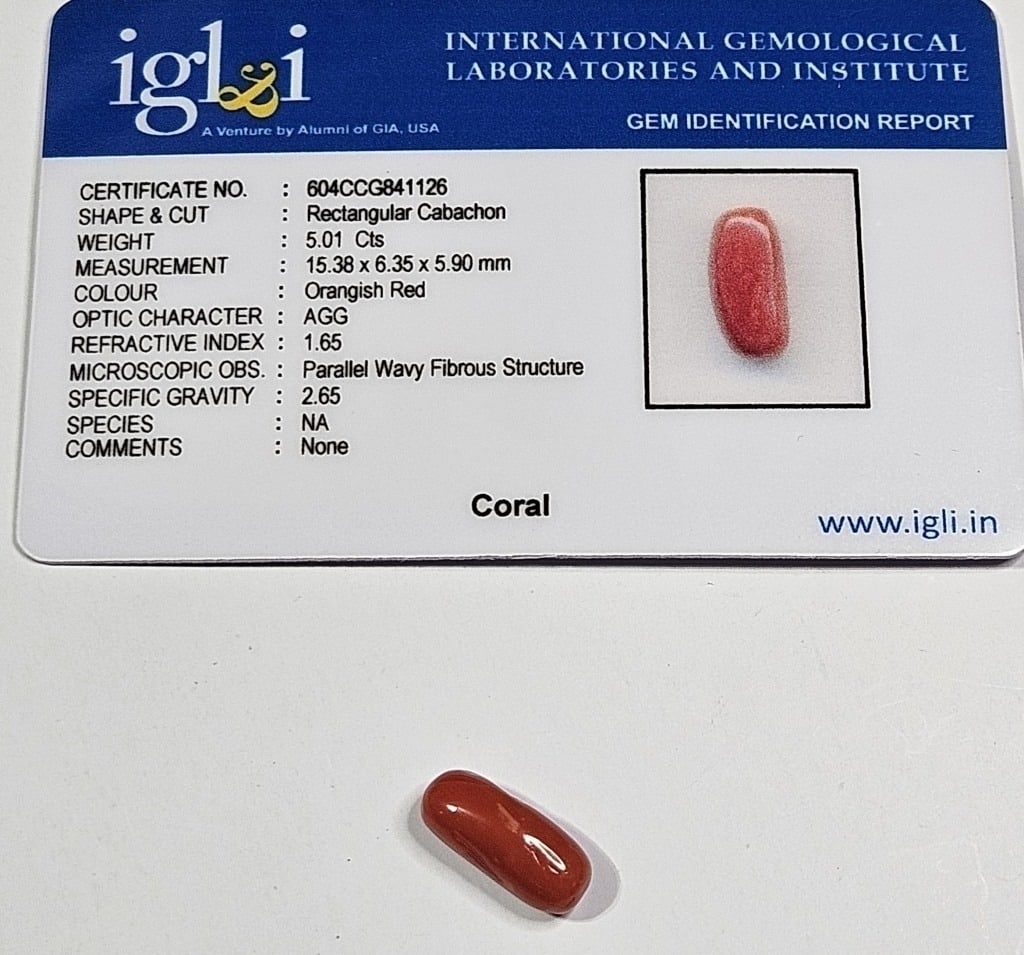 5.01 ct. Natural Red Coral Specimen w/COA: Items are the exact items in the image - Please review the entire terms and conditions prior to placing any bids- Bidder is responsible for all value and grade determination-