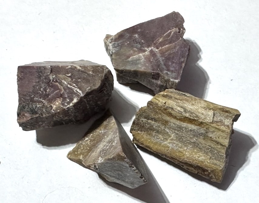 Lot of (4) Natural Petrified Wood Specimens (1 of 2)