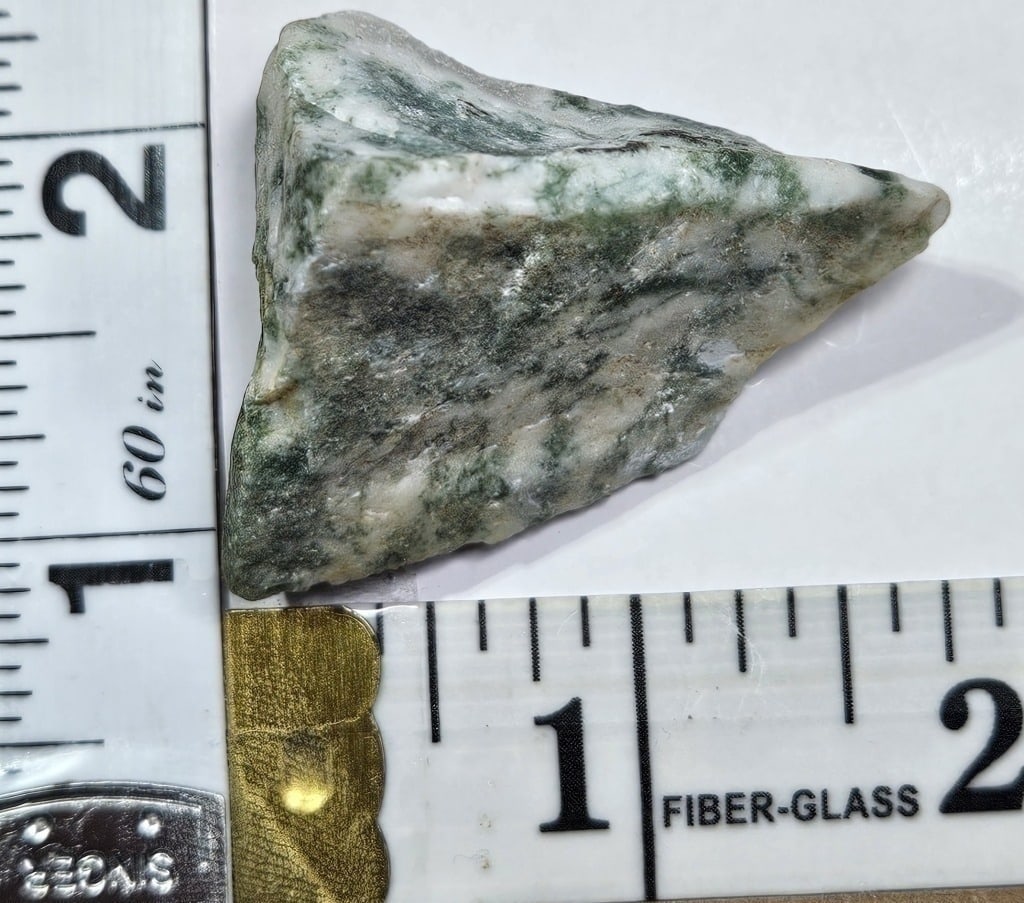 28.20 gram Natural Tree Agate Specimen - 2