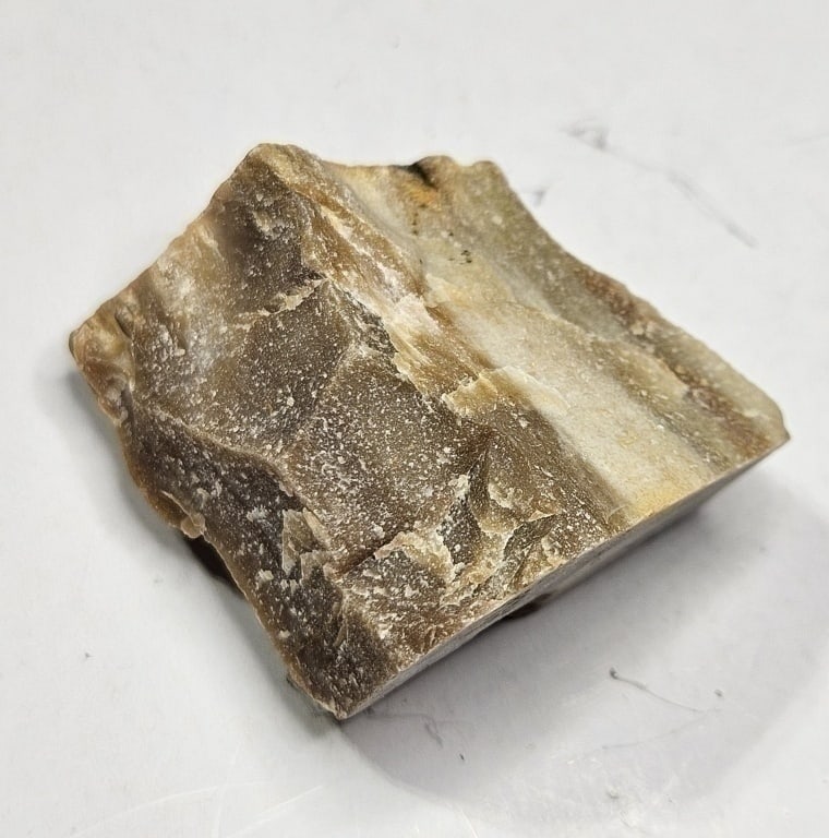 18.62 gram Natural Petrified Wood Specimen: Item is the exact item in the image - Bidder is responsible for all value and grade determination -