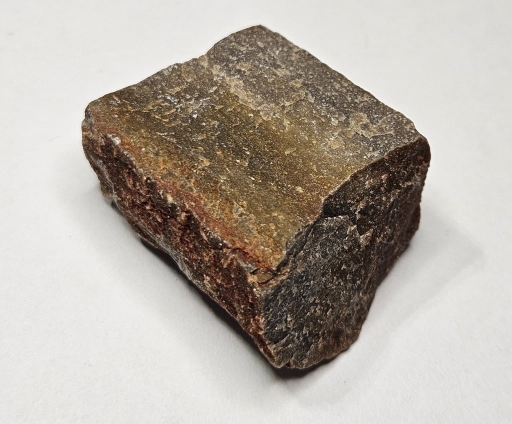 17.61 gram Natural Petrified Wood Specimen: Item is the exact item in the image - Bidder is responsible for all value and grade determination -