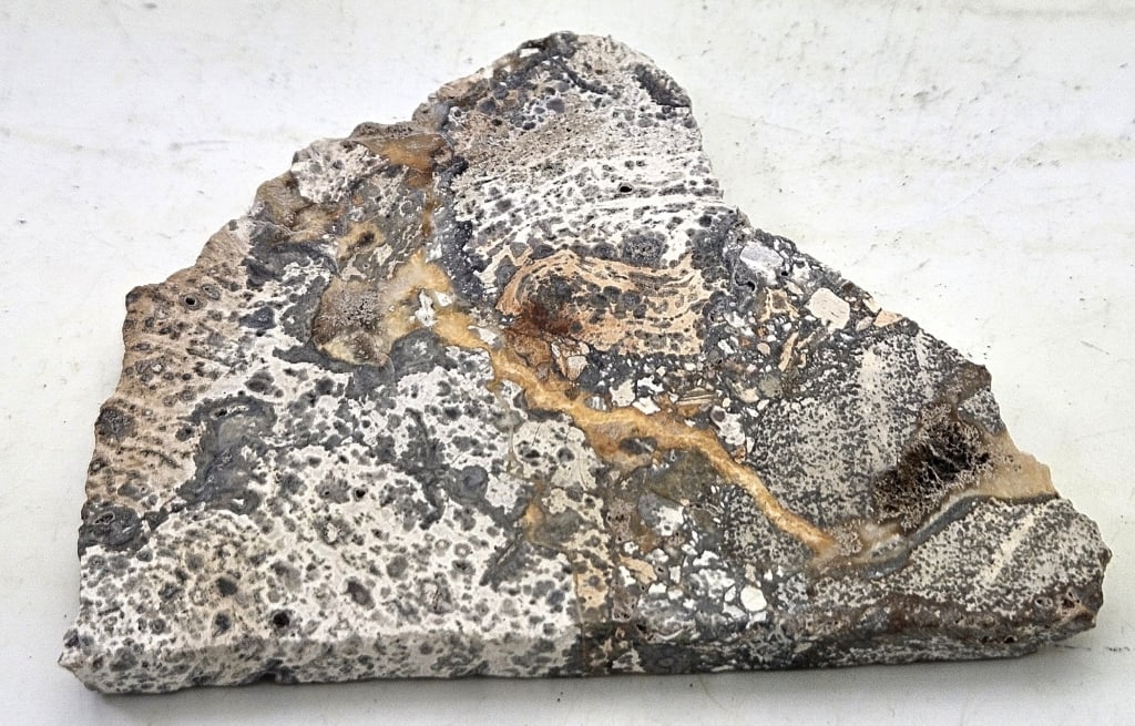 69.88 gram Natural Opalized Breccia Slab: Item is the exact item in the image- Bidder is responsible for all value and grade determination- Please review all terms and conditions prior to placing any bids-