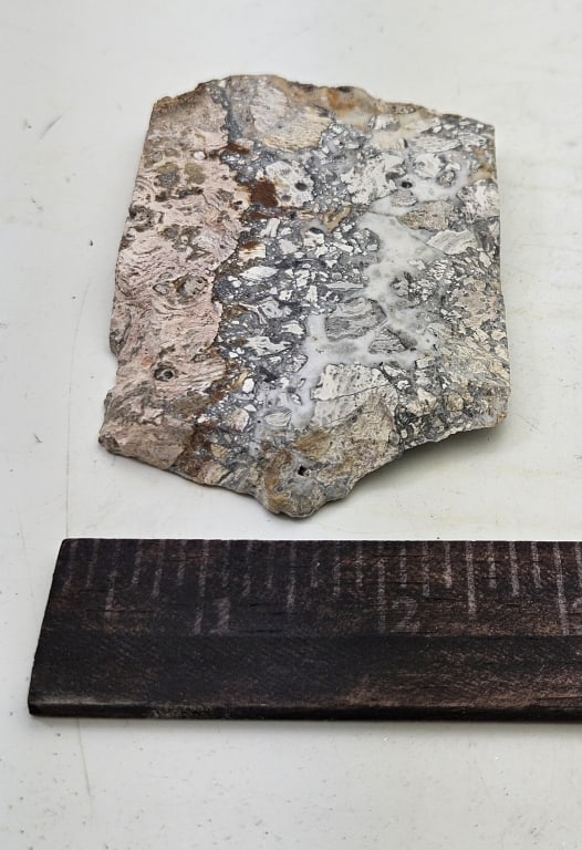 123.44 gram Opalized Breccia Specimen Slab - 4