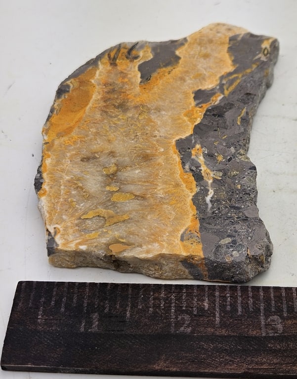 196.3 Natural Bumble Bee Slab - 3