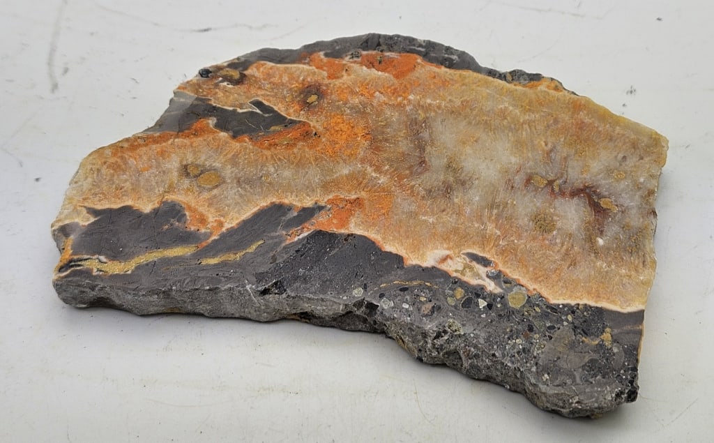 196.3 Natural Bumble Bee Slab - 5