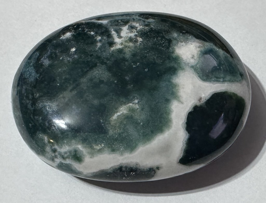 Large Green Zebra Palm Stone -: Item is the exact item in image - Bidder is responsible for all value and grade dtermination - Please review all terms and conditions