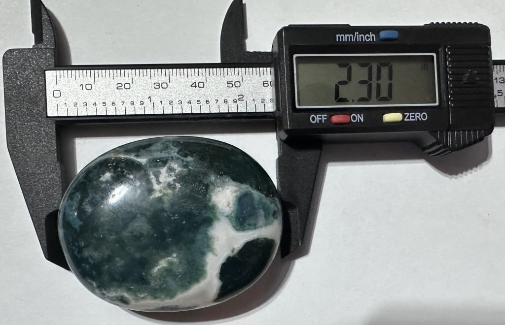 Large Green Zebra Palm Stone - - 3