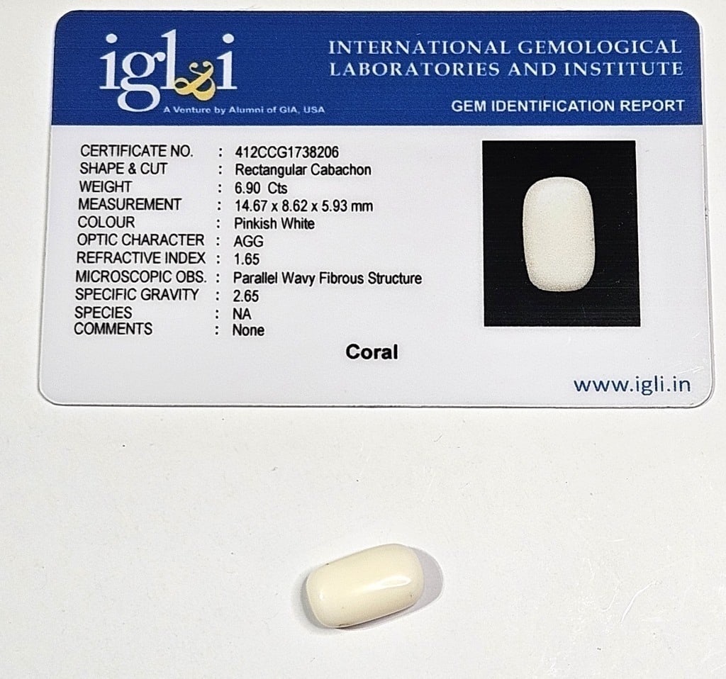 6.90 ct. Natural White Coral Specimen w/COA Card: Items are the exact items in the image - Please review the entire terms and conditions prior to placing any bids- Bidder is responsible for all value and grade determination-