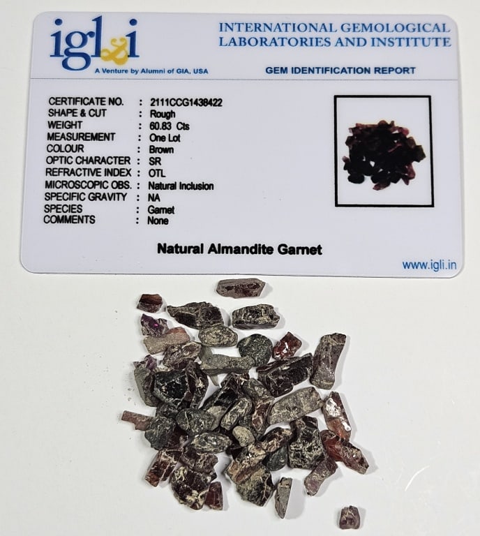 60.83 tcw. Natural Almandine Garnet Parcel w/COA: Items are the exact items in the image - Please review the entire terms and conditions prior to placing any bids- Bidder is responsible for all value and grade determination-