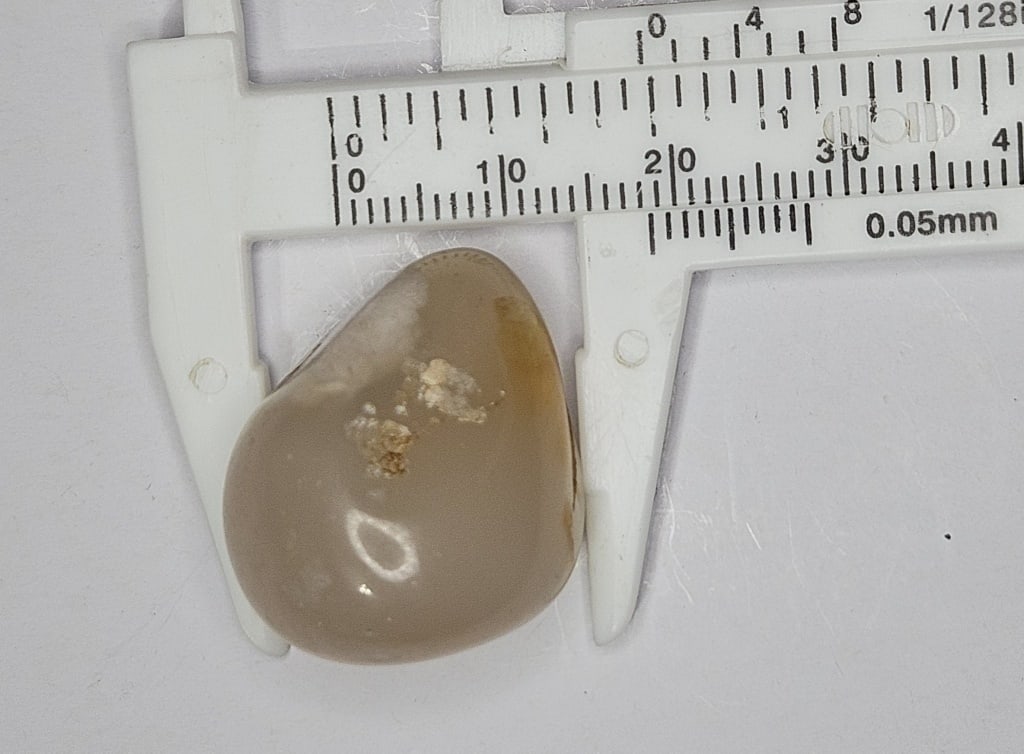 11 gram Tumbled Flower Agate Palm Stone - 3