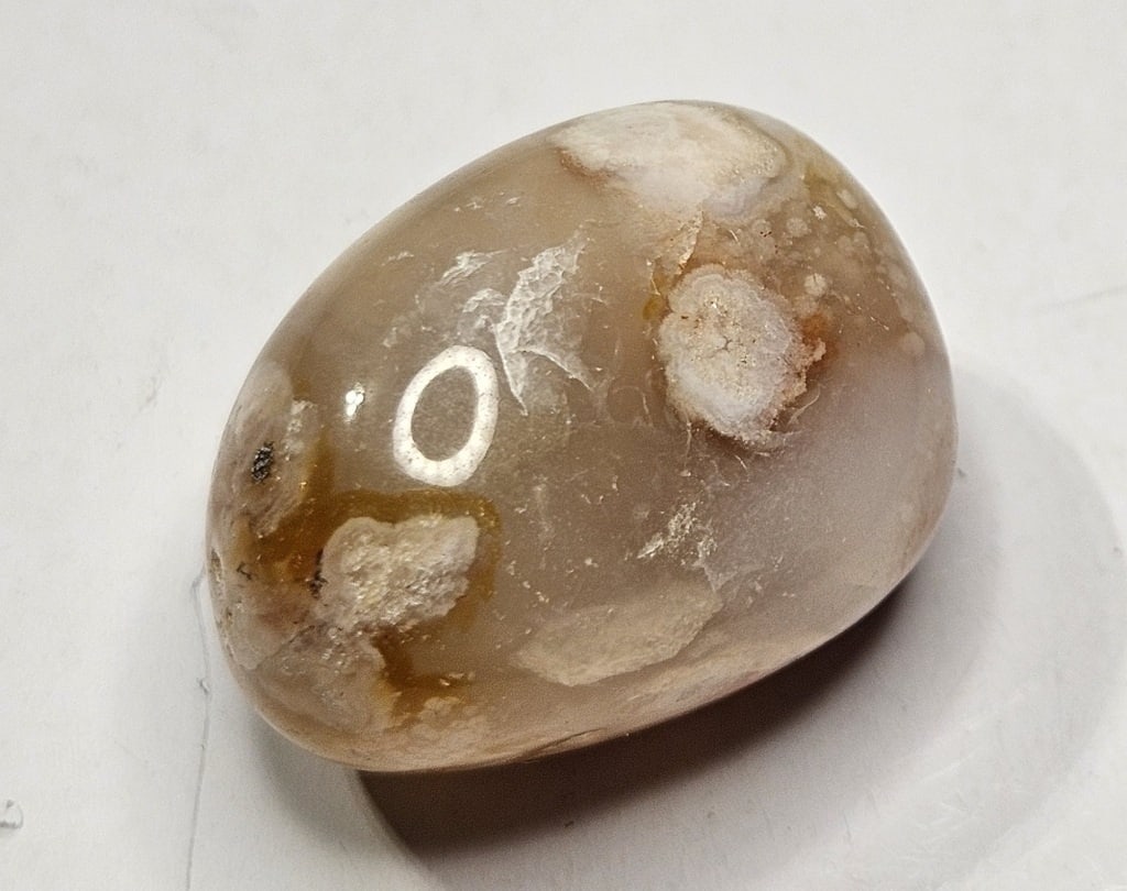 18.12 gram Polished Flower Agate Palm Stone (1 of 4)