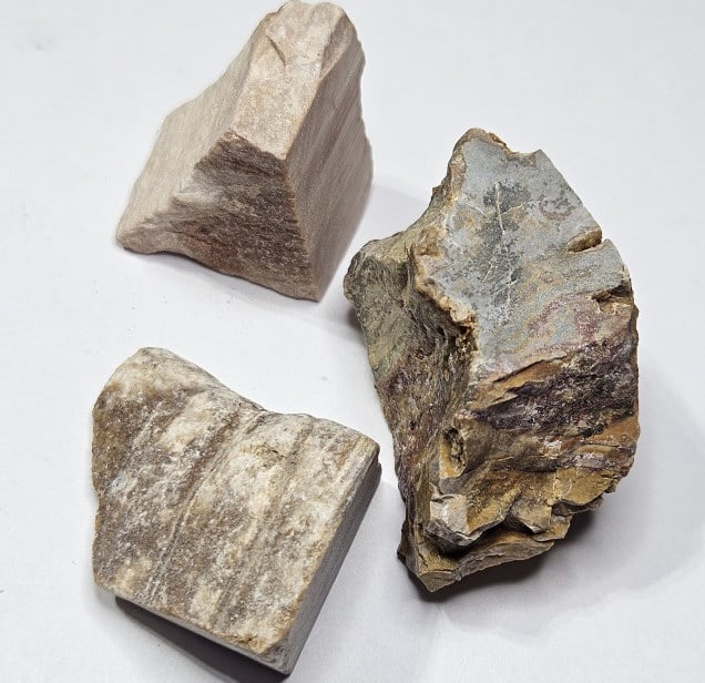 59.61 gram Natural Petrified Wood Lot (1 of 4)