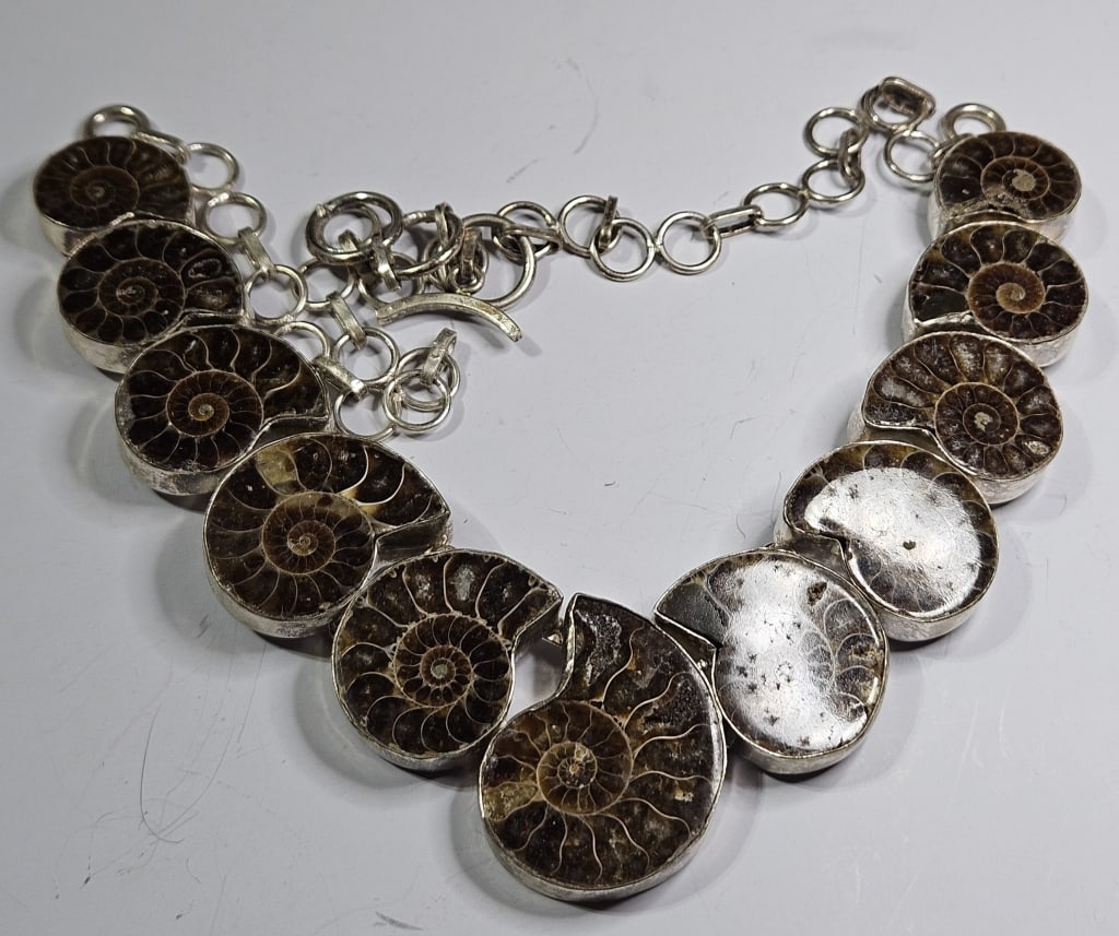 RARE Ammonite Fossil Sterling LARGE Necklace: Item is the exact item in the image- Bidder is responsible for all value and grade dtermination - Please review all terms and conditions prior to placing any bids-